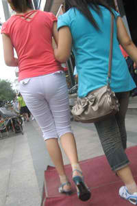 金银花露写的车书